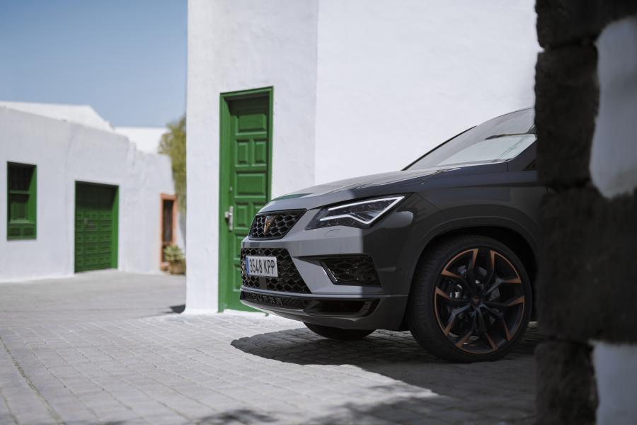  Cupra Ateca Limited Edition 2019 года  (WW) (фото 30 из 40)
